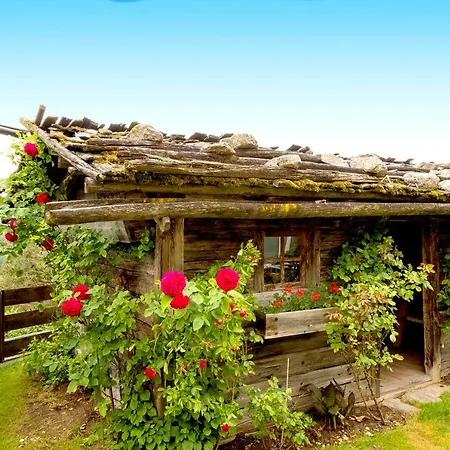 Hotel Kristall 4*